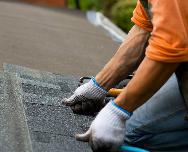 Best Flat Roof Repair Services  in Earlvle, IL