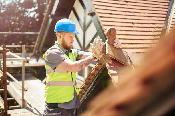 Best Commercial Roofing Services  in Earlvle, IL