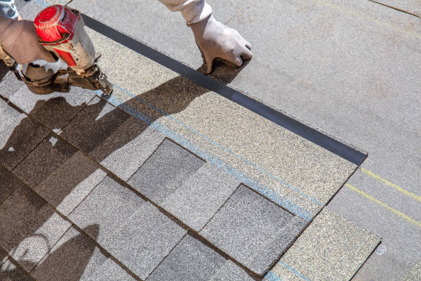 Best Roof Replacement Cost  in Earlvle, IL