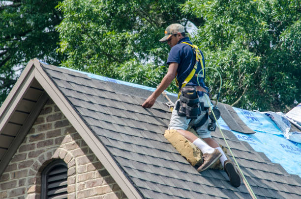 Best Best Roofing Contractors  in Earlvle, IL