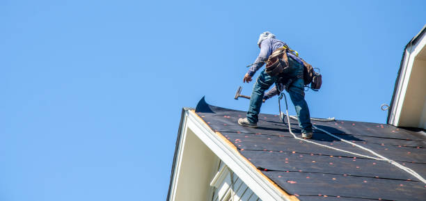 Best Metal Roofing Contractor  in Earlvle, IL